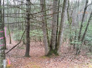 LOT 15 Ph 1 Sec 1 Baldwin Dr PENTHOUSE 1, Lowgap, NC 27024