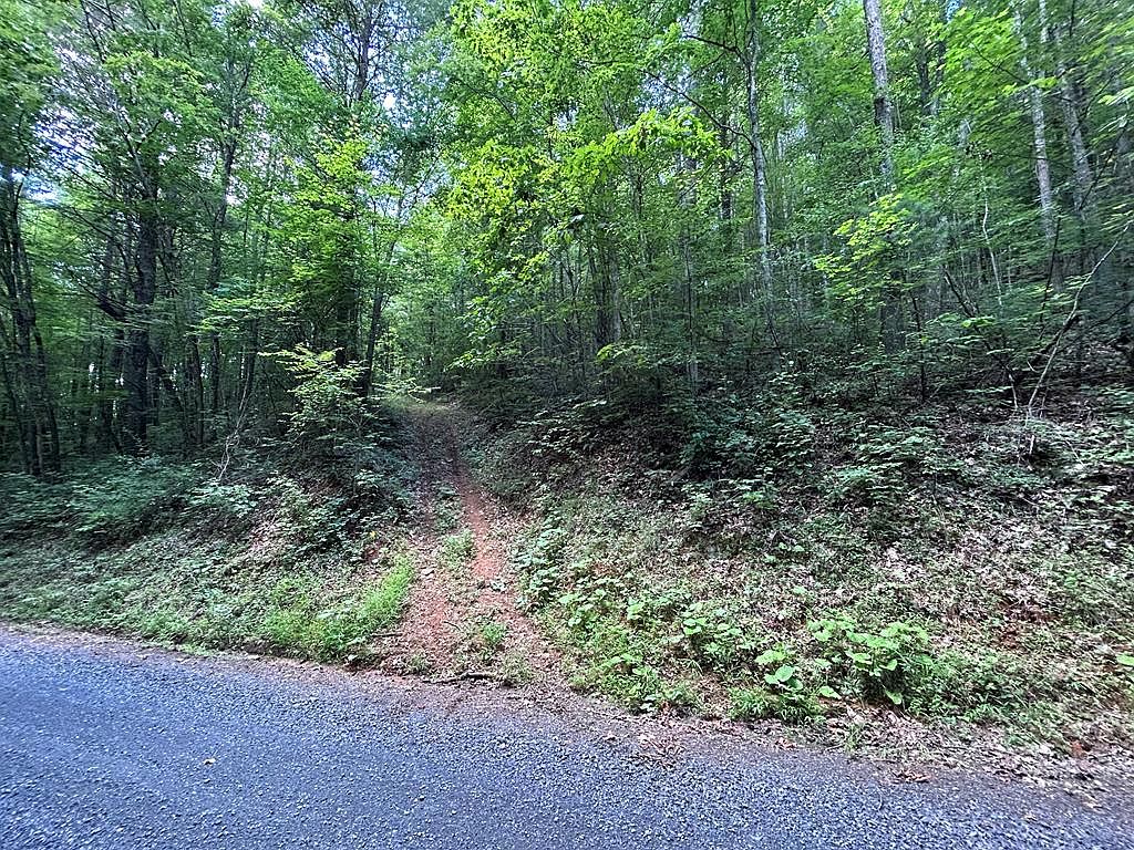 Tbd Laurel Fork Rd, Laurel Fork, VA 24352 MLS 87341 Zillow