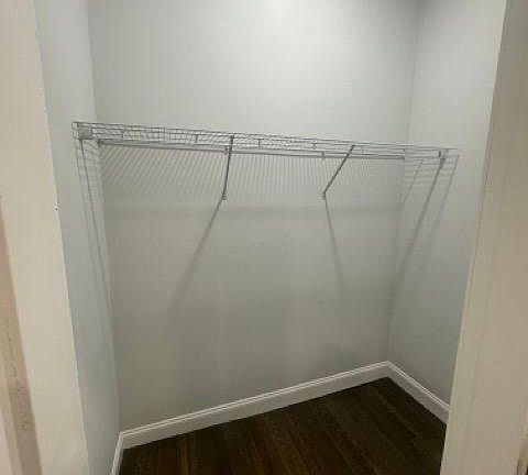 Walk-in living room closet