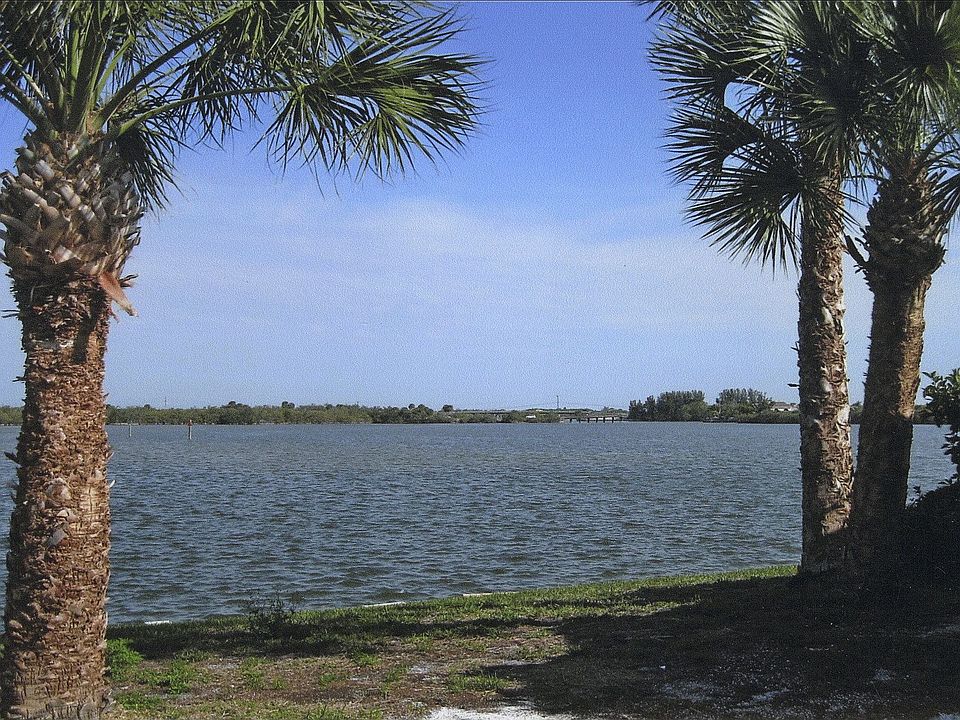 View from back yard