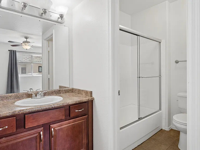 Your master vanity and the glass shower doors