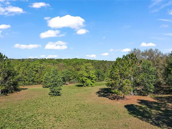 41509 Saddle Ridge Ln #15, Weirsdale, FL 32195