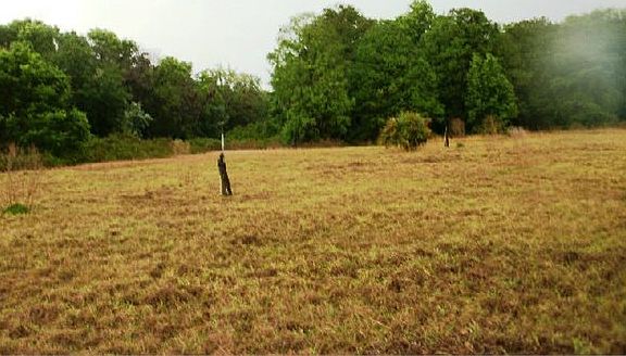 4th image of 12643 Dead River Rd