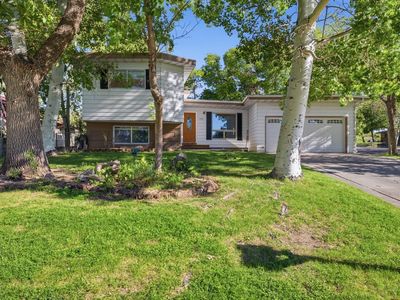 1202 Birch Ln, Cody, WY, 82414