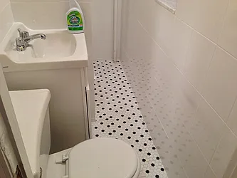 Rented by Alpha Properties NYC I LLC