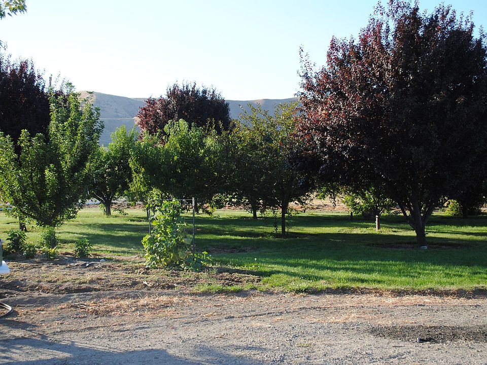 2nd image of 2965 Lois Ln