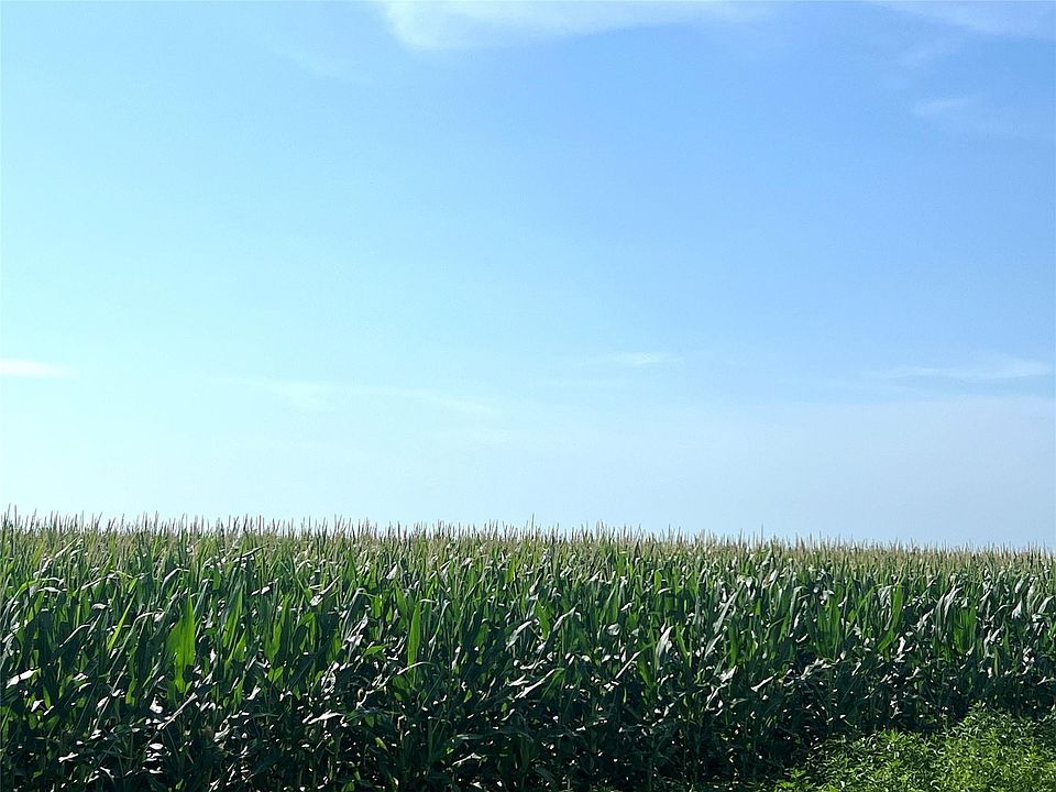 2nd image of 0 County Road 403