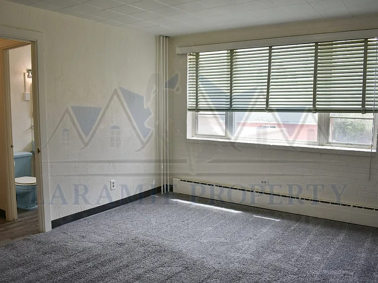 305 S 10th St #15 — Photo 3