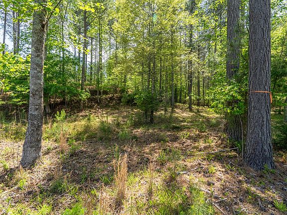 4th image of LOT 132 Sandy Lake Ln