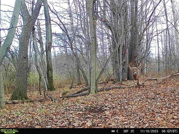 4th image of Hardys Rd