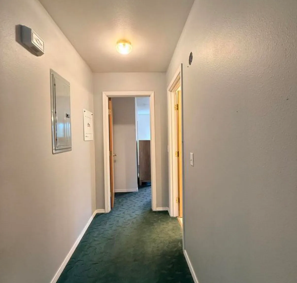 2 bed, 1344 sqft, $2,000 — Photo 3