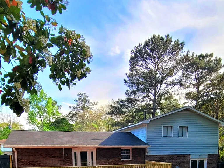 2915 Lajean Dr — Photo 2