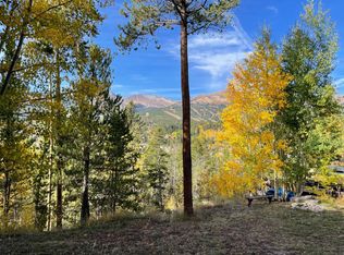 219 N Gold Flake Ter, Silverthorne, CO 80424
