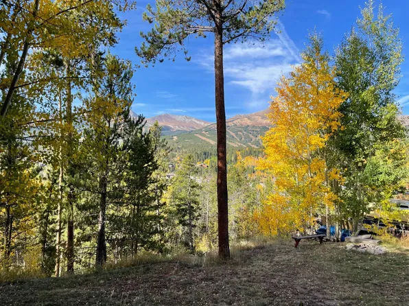 219 N Gold Flake Ter, Silverthorne, CO 80424
