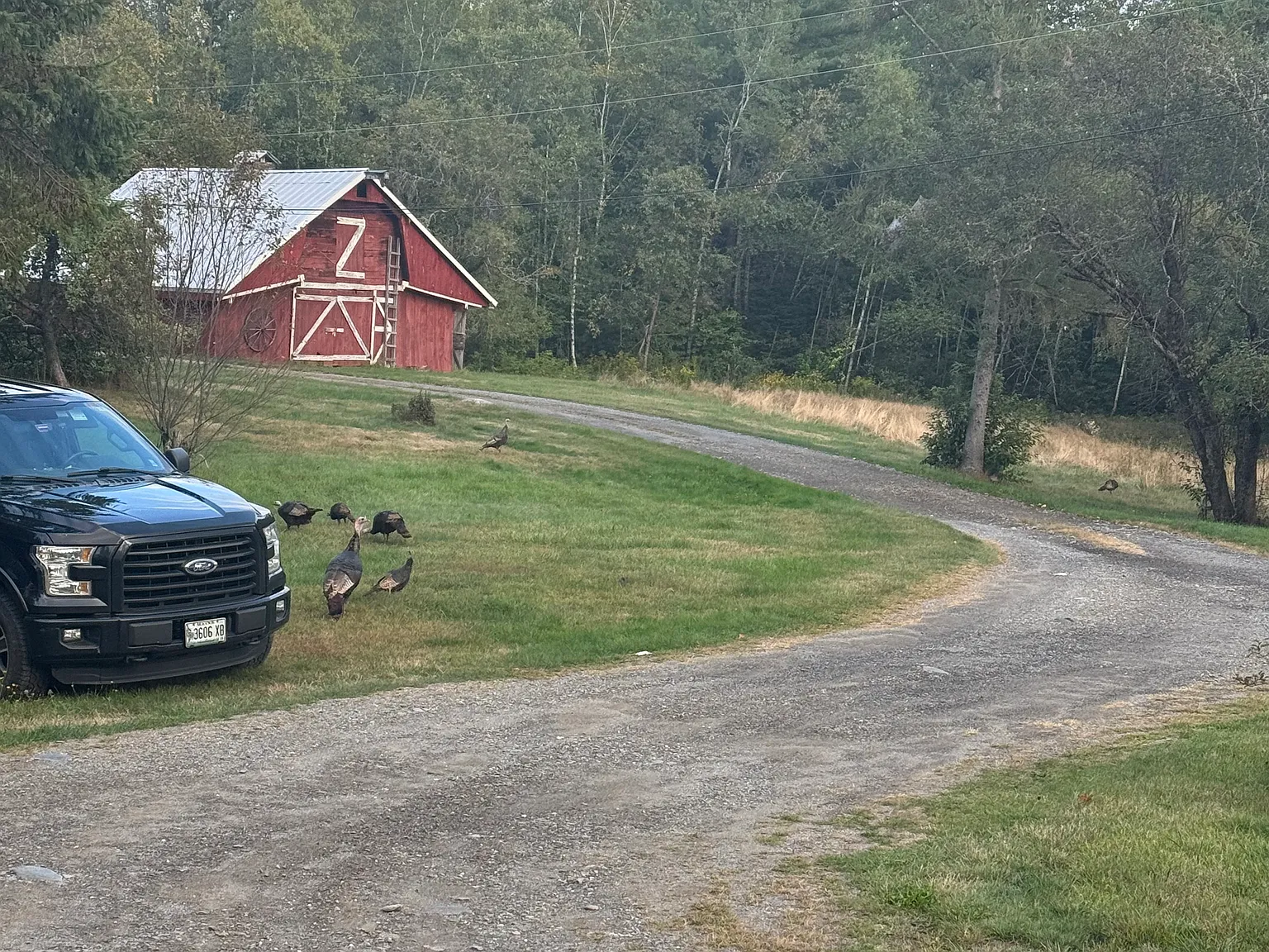 Hudson Rd, Glenburn — Photo 3