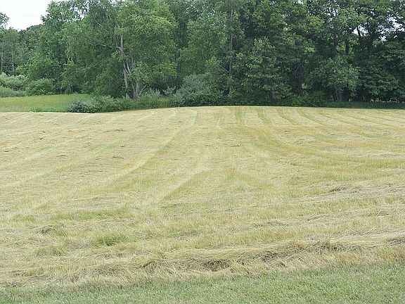 Looking E from the front