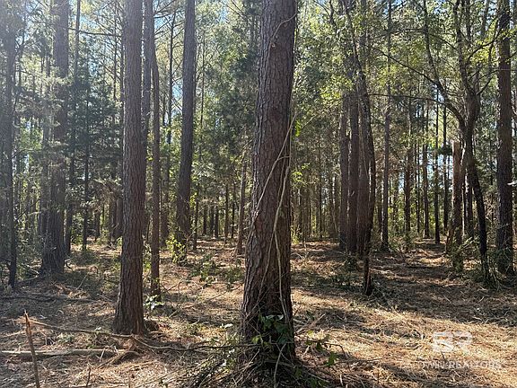 5th image of LOT 2 Rockaway Creek Rd