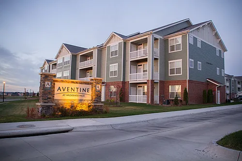 Aventine at Wilderness Hills Photo 1