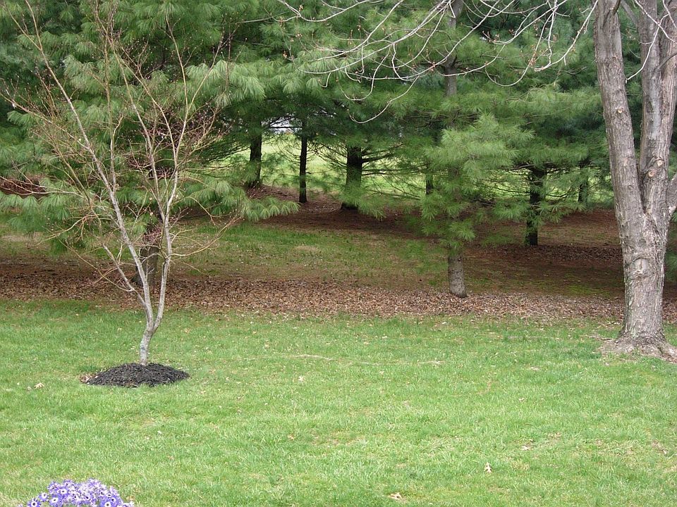 2nd image of 50 Hoover Rd