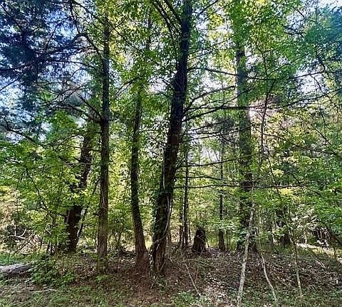 4th image of 0 Sherling Lake Rd