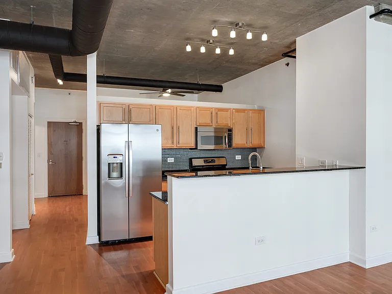 1305 S Michigan Ave #1407 — Photo 6