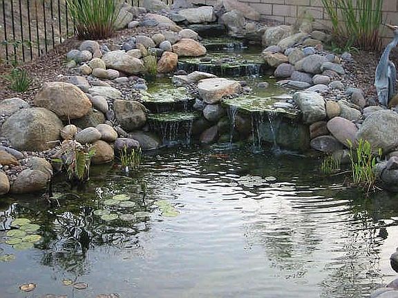 Koi pond