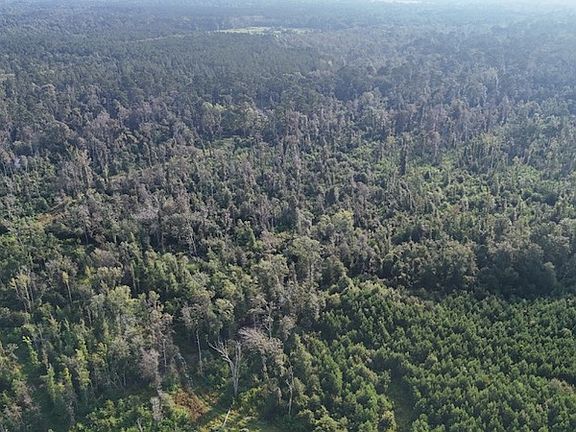 4th image of Dido Loop Lot Wp004