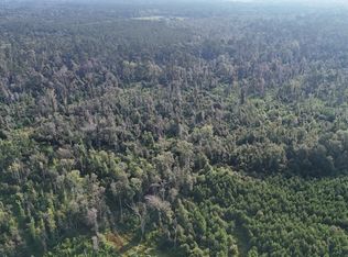Dido Loop LOT WP004, Pitkin, LA 70656