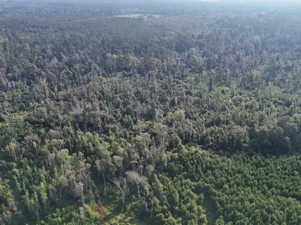 Dido Loop Lot Wp004, Pitkin, LA 70656