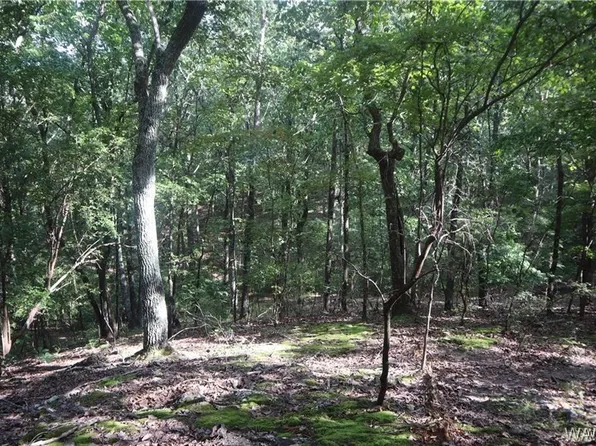 0 Oak Ridge, Fayette, AL 35555