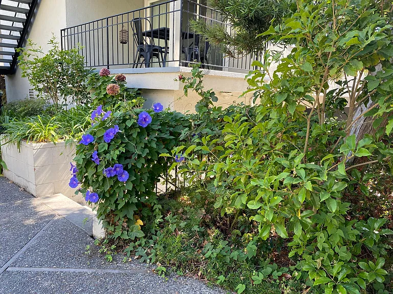 837 Cowper St #M — Photo 44