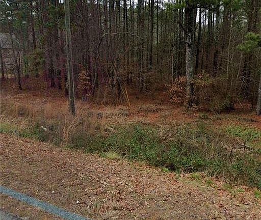 3rd image of 883 Grayson Pkwy Lot 0
