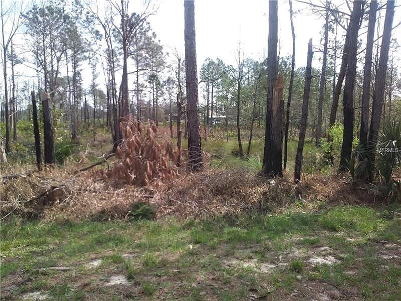 2nd image of Banyan St
