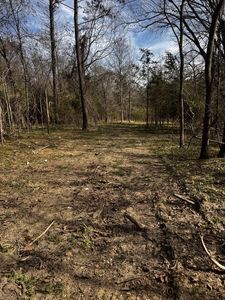 3466 Chamberlain Ferry Rd, Lincolnton, GA, 30817