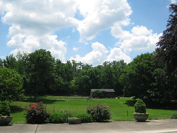 View from Pool & Patio