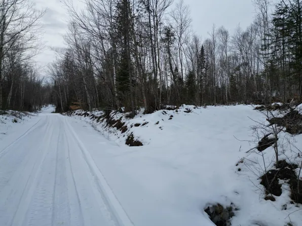 Lot 1 Moores Road, Springfield, ME 04487