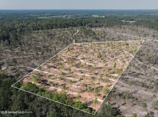 824/ACRE S Noel Townsend Rd, Seminary, MS 39479