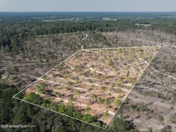 824/ACRE S Noel Townsend Rd, Seminary, MS 39479