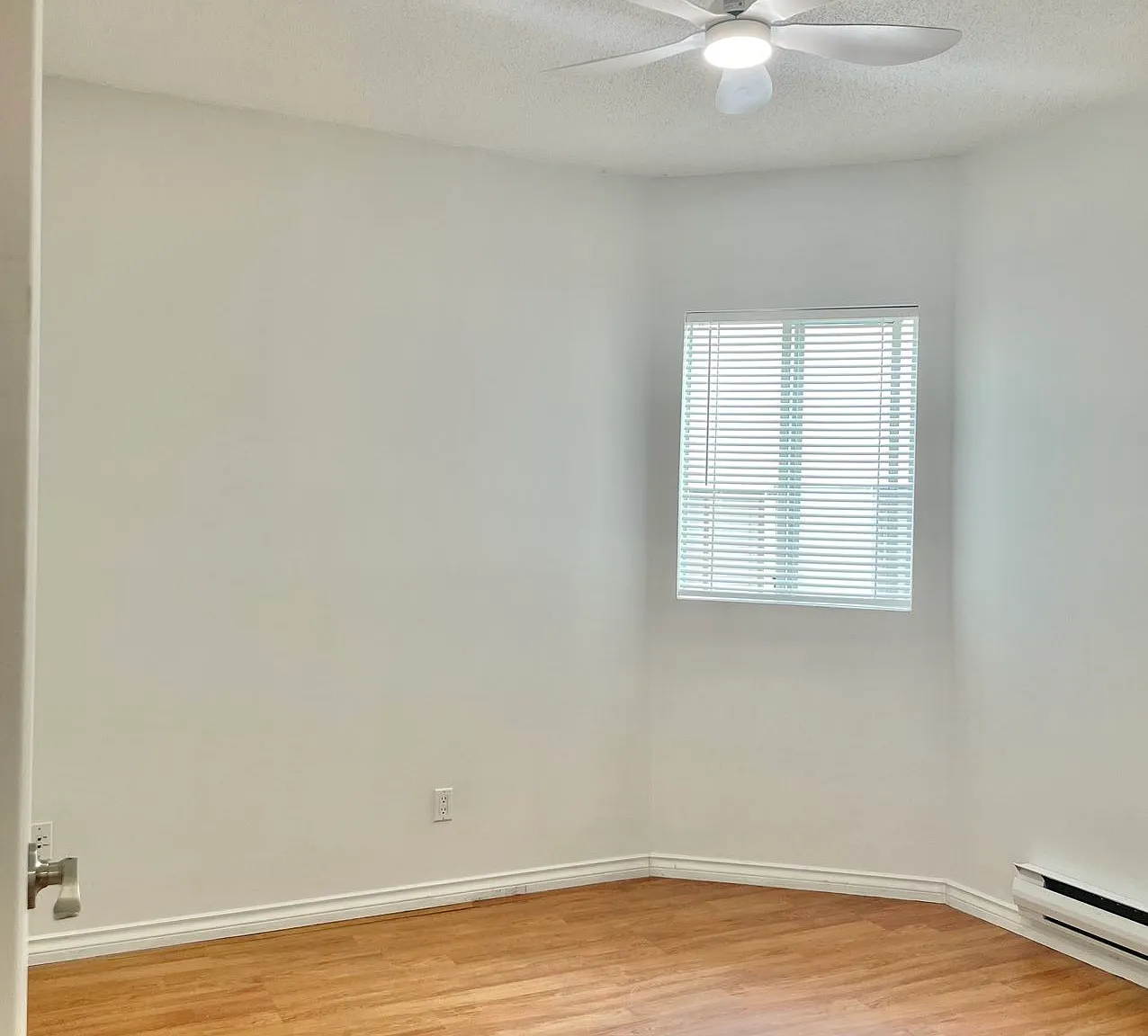 Freshly painted 1 Bed at Mount Pleasant — Photo 3