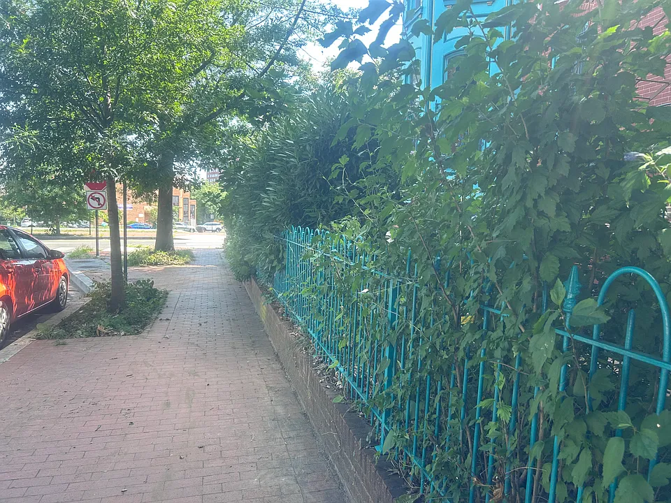 Side of house, garden