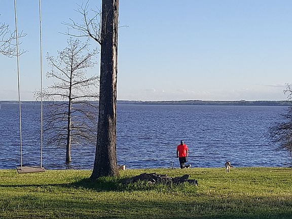 Lake view : This is a beautiful Spring day on Toledo Bend. View of lake from back porch.