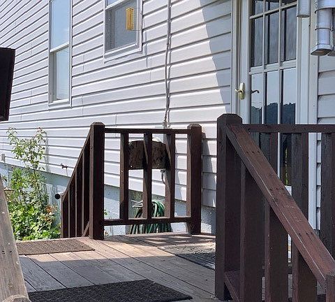 3rd image of 1008 Biltmore Ave