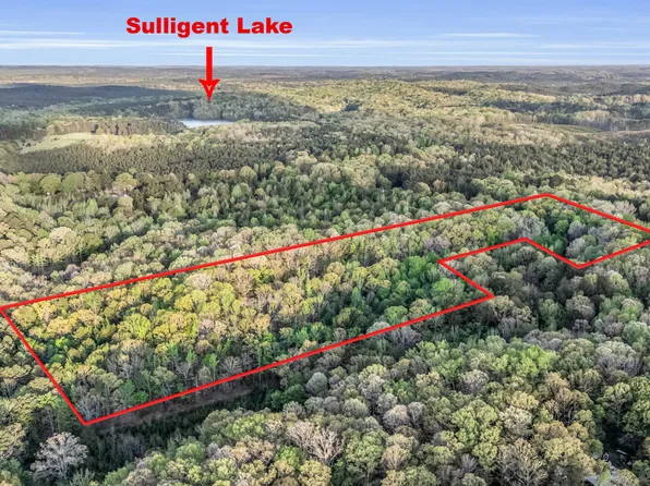 0 Abernathy Rd, Sulligent, AL 35586