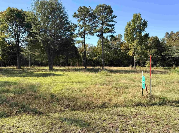 107 Eagle Ridge Dr, Higden, AR 72067