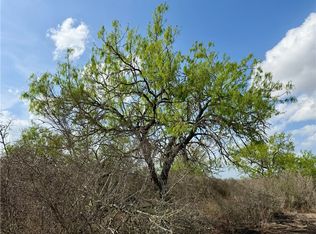 0 County Road 104, San Diego, TX 78384