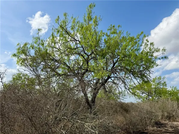 0 County Road 104, San Diego, TX 78384