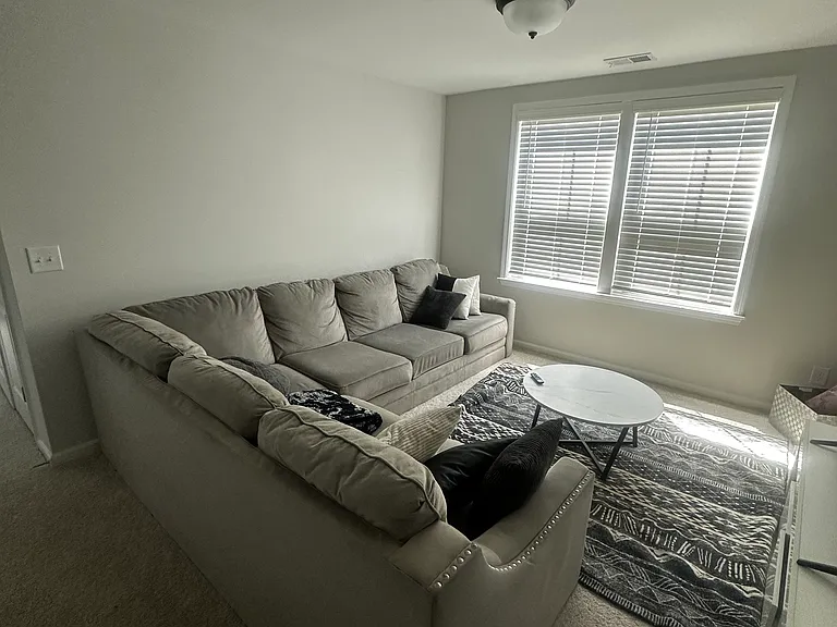 Green Fern Dr — Photo 10