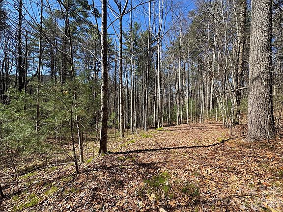 4th image of 1 Bear Log Rd