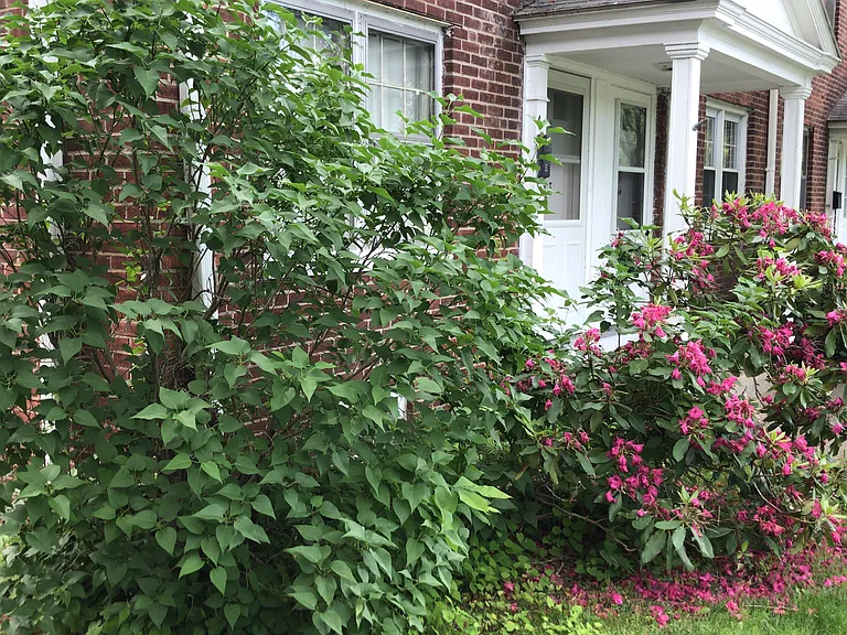 18 Bridge St #4B — Photo 4