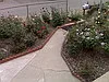 thumb_01072020